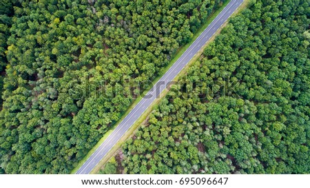 Aerial view of a road in a forest, Indre et Loire, France