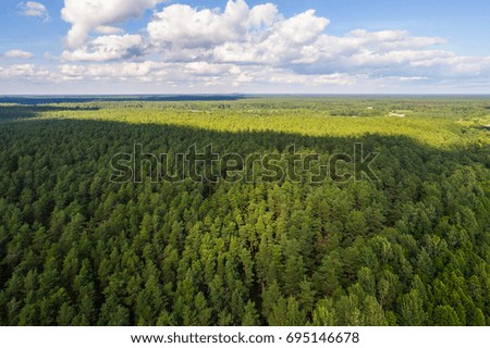 Aerial shot of forest and trees.