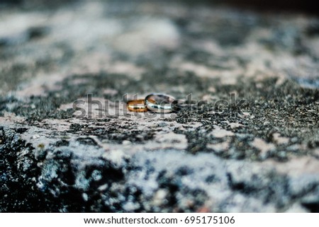 Wedding rings background texture