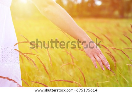 Girl hand stroking spikelets in the field. The concept of freedom and unity with nature.