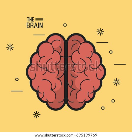 colorful poster the brain top view of its two hemispheres in yellow background