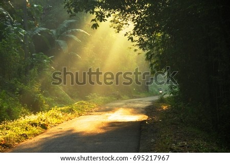 Misty autumn forest at dawn. Sun rays. Royalty-Free Stock Photo #695217967