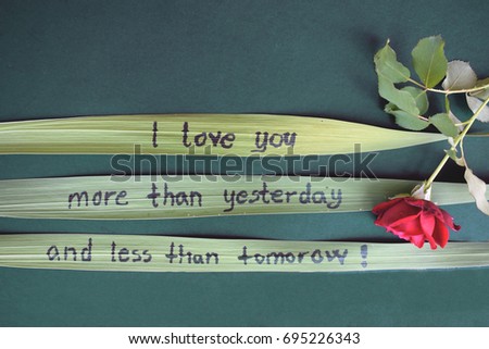 i love you more than yesterday and less than tomorrow message written on green leaves photographed on green background with red rose. love message
