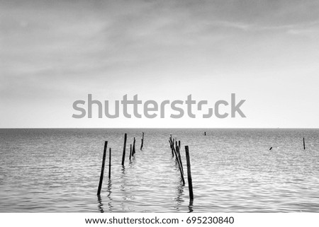 Picture Black and white. pole in the sea. abstract image for add text input.