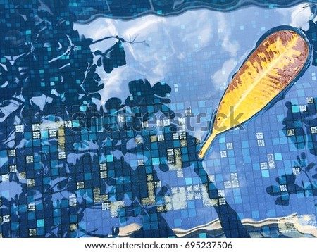 A leaf floating on the swimming pool with tile background