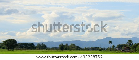 Panorama Country View  Over paddy fields of Lam-pang Country Thai