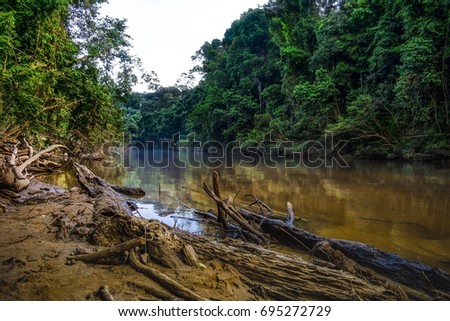 Nature viewpoint of Tembeling River in Taman Negara, Malaysian Jungle