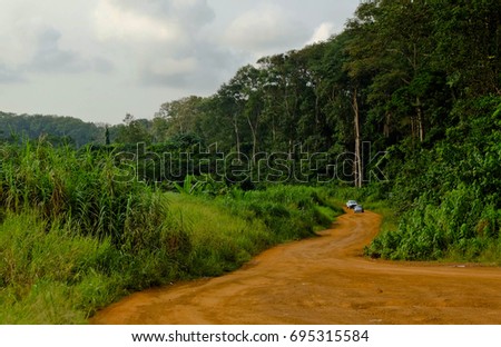 Road through jungles in Gabon Royalty-Free Stock Photo #695315584