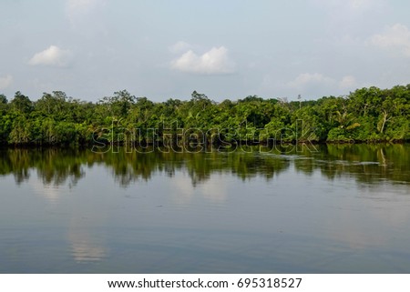Jungle water reflection in Gabon Royalty-Free Stock Photo #695318527