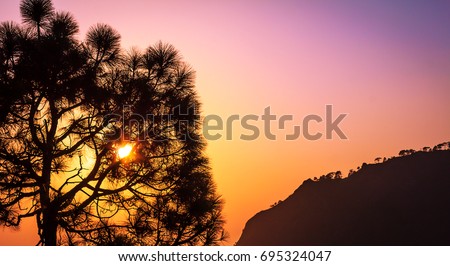 Beautiful Evening view of tree from Vaishno Devi Temple, Jammu, India.