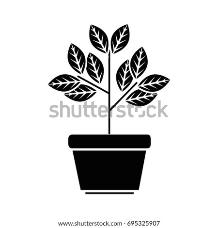 plant in a pot icon