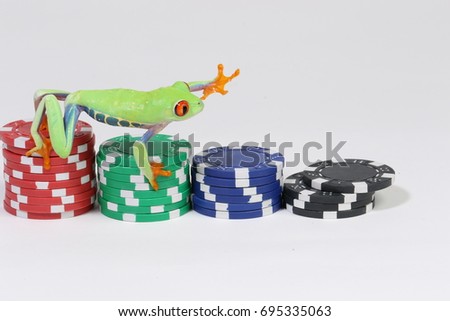Red Eyed Tree Frog on Poker Chips