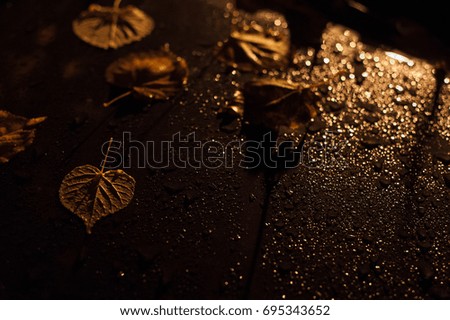 Background texture, pattern. Autumn leaves, drops of water from the rain. Car at night under a street lamp