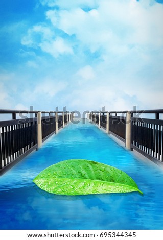 The bridge blue sky, Leaves nature background, poster, business flyer template layout, for cosmetic and spa, creative image