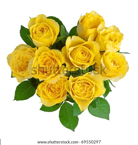Heart-shape yellow roses isolated on white.