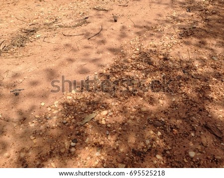 abstract background of shadow leaf on ground