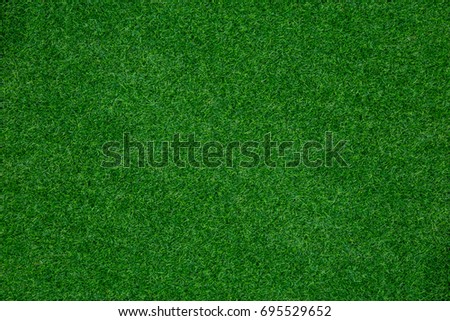 green grass texture background Royalty-Free Stock Photo #695529652