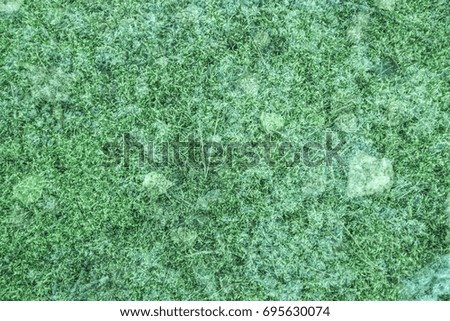 Multi-exposure grass, leaves,abstract texture background

