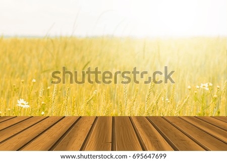 wood board table in front of field of wheat on sunset light. Ready for product display montage