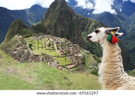 Llama at Historic Lost City of Machu Picchu - Peru Royalty-Free Stock Photo #69565297