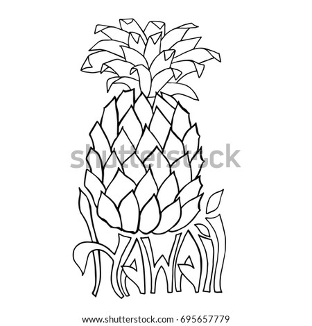 Hawaii. Typography banner. Pineapple sketch illustration. Aloha poster. Vector lettering.