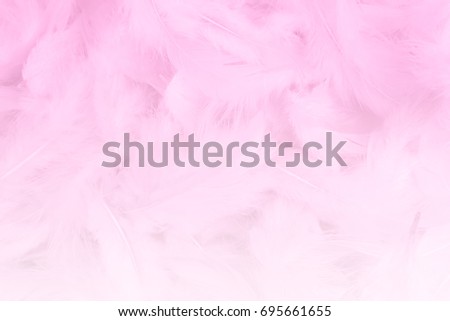 Beautiful pink feathers background