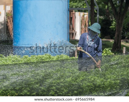 Woman worker watering young plants using host front view