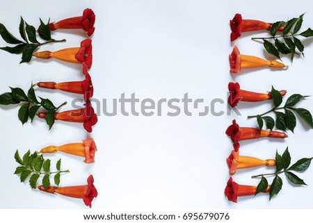 Simple cute pattern in small-scale red flowerswith green leaves on a white background . view from above