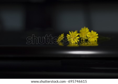 Yellow flowers on black, mourning, separation.