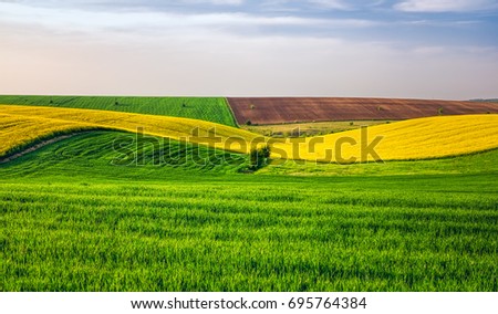 Agricultural fields Royalty-Free Stock Photo #695764384