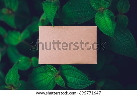 Creative layout made of green leaves with paper card note or box.Flat lay.Nature and eco friendly recycle concept.