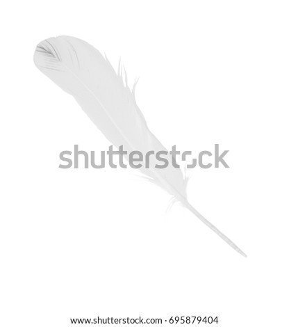 Beautiful white feather isolated on white background