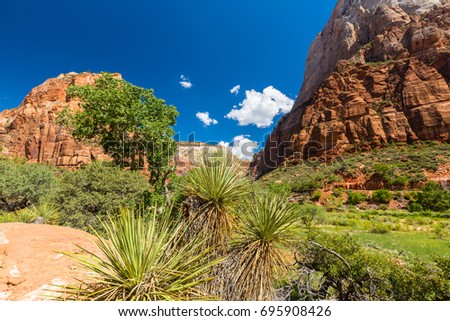 Beautiful red rock formations in Zion National Park on a bright autumn day