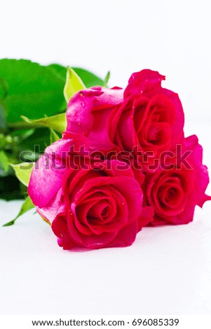 Red roses. White background.