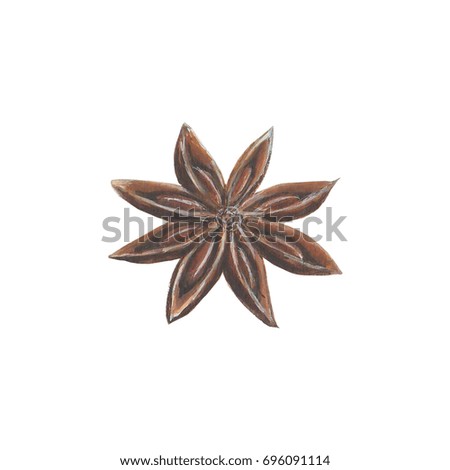 Watercolor hand drawn anise star spice isolated on a white background