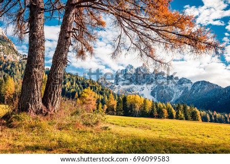 Fantastic view of Durrenstein mountain from Vallone village. Colorful autumn scene in the Dolomite Alps, Province of Bolzano - South Tyrol, Italy, Europe. Beauty of nature concept background.
