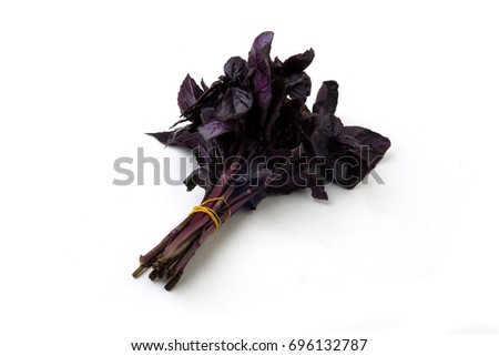 Purple basil on a white background