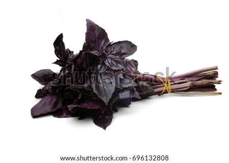 Purple basil on a white background
