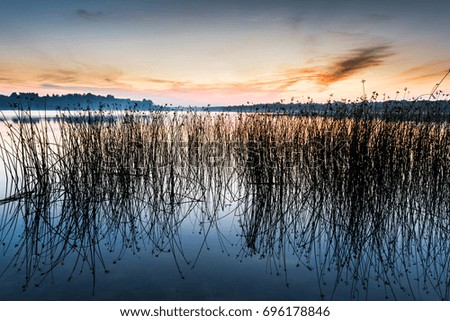 Blue and orange sky and the lake and above-water plants in the twilight after sunset. Belarus nature background.