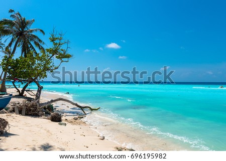 Horizontal picture of Maafushi's beach with beautiful turquoise water, local vegetation and blue sky in Maldives