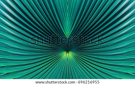 abstract blue stripes from nature, tropical palm leaf texture background, vintage tone Royalty-Free Stock Photo #696216955