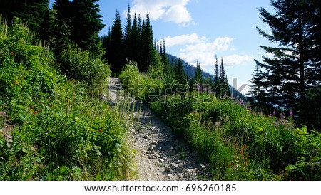 A picture of a atv trail above the Hungry Horse Reservoir.