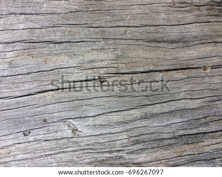 Gray crack wood texture