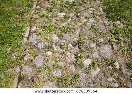 Background of an old road paved of stones and cobblestones. The road to the movement of people in the park. Through the cracks in the road and between the stones grows green grass. Photo close up