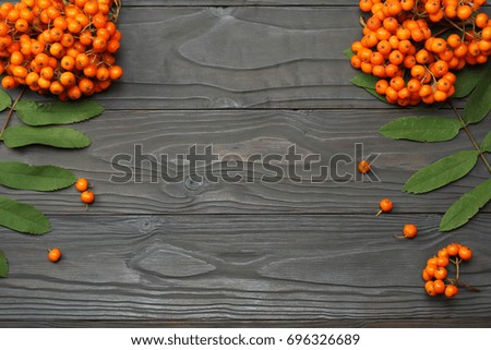 autumn background with colored leaves on dark wooden board. top view with copy space