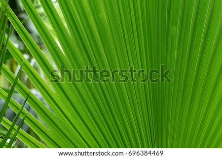 Green Leaf Design Pattern