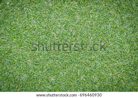 green grass (texture) of football field