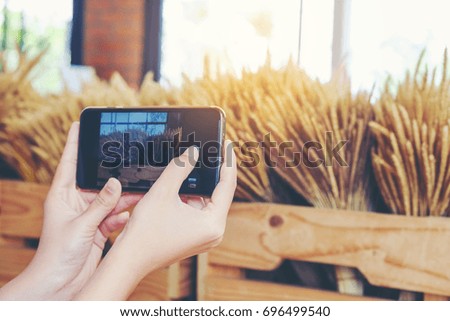 Woman hand taking photo with mobile phone, young thai girl take photo grass flower dry with cell phone at cafe