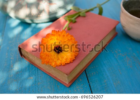 Calendula flower on old book, bowl and teapot with green tea on a blue wooden table on a summer sunny day