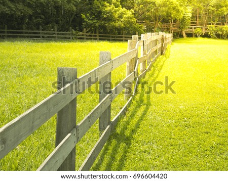 wooden fence in the farm with sun light